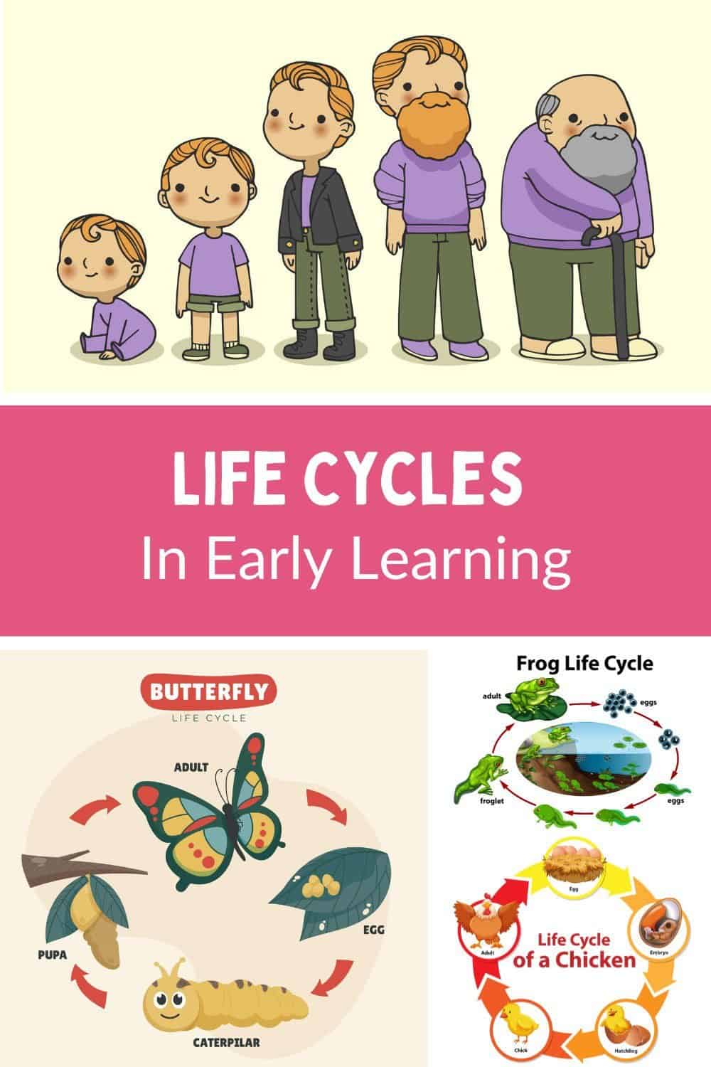 Preschool, PreK, Kindergarten life cycles in early learning