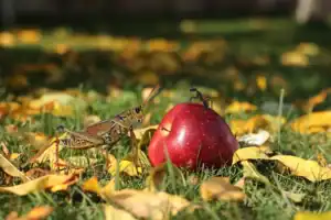 Children doing hands-on science and nature exploration activities in kindergarten
