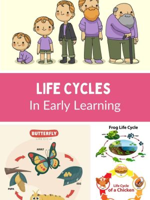 Preschool, PreK, Kindergarten life cycles in early learning