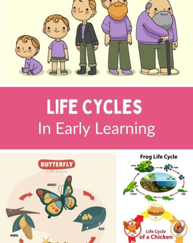 Preschool, PreK, Kindergarten life cycles in early learning