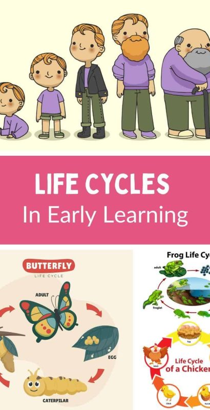 Preschool, PreK, Kindergarten life cycles in early learning